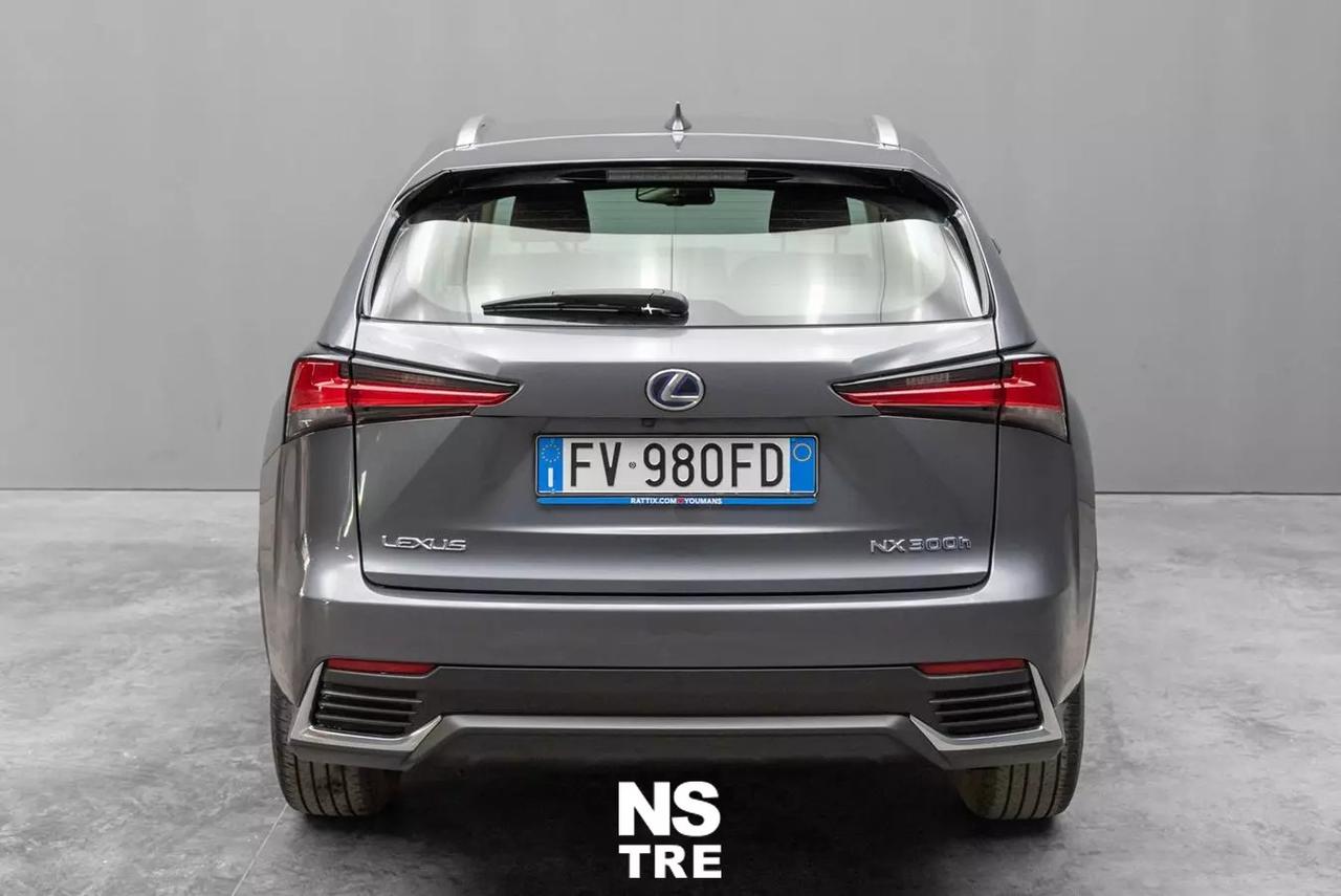 Lexus NX 300h 2.5 Hybrid Business CVT