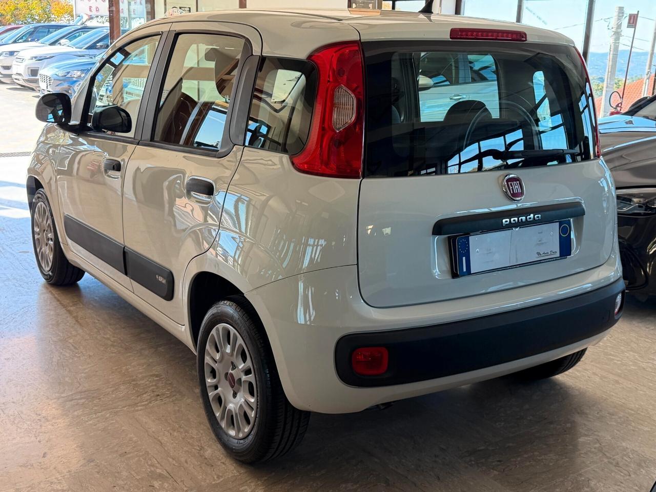 Fiat Panda New 1.3 M.JET 95 cv. EASY