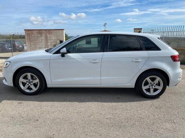 Audi A3 30 1.6 tdi Business 116cv s-tronic