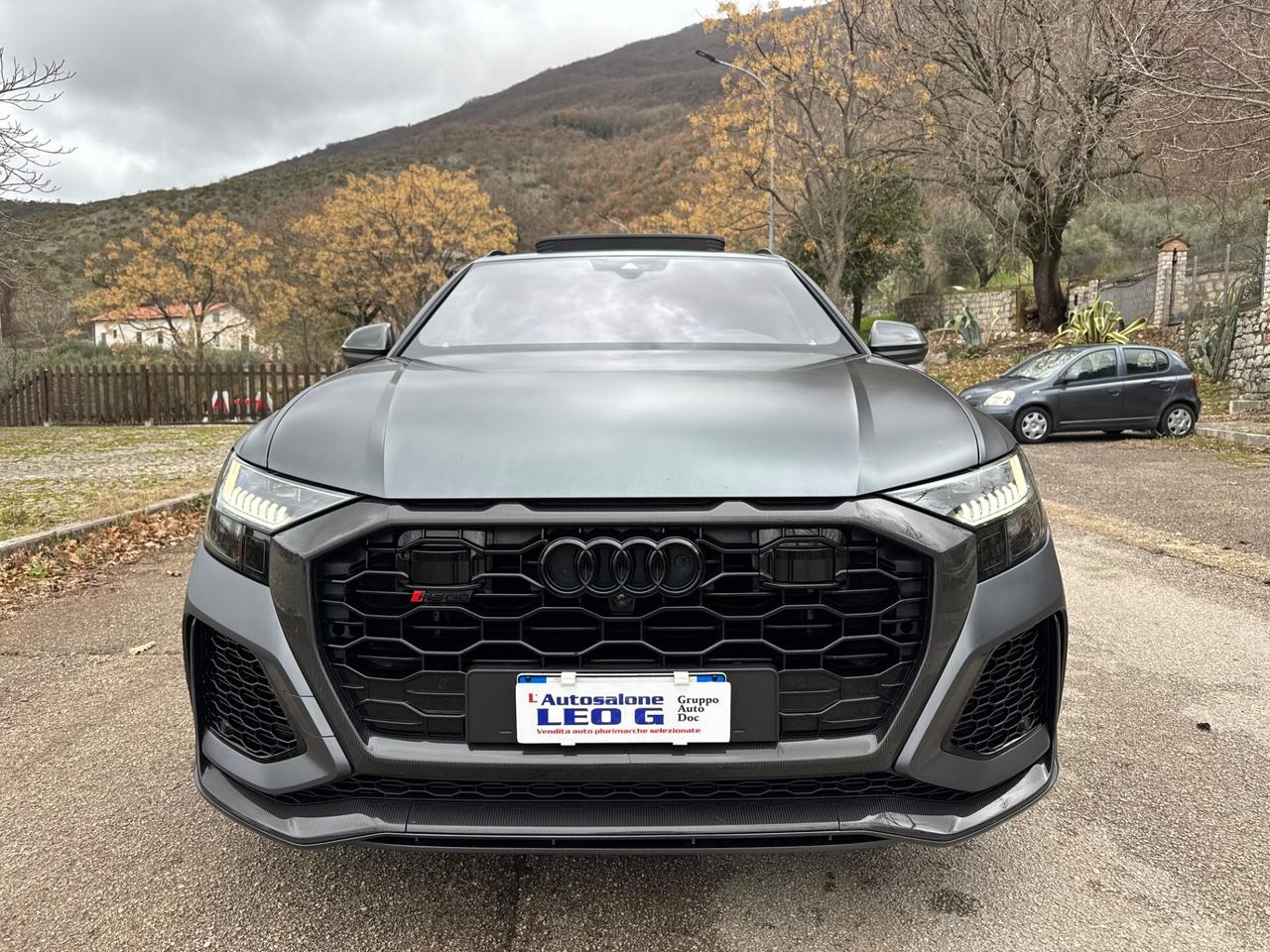 Audi Q8 RS TFSI V8 quattro tiptronic