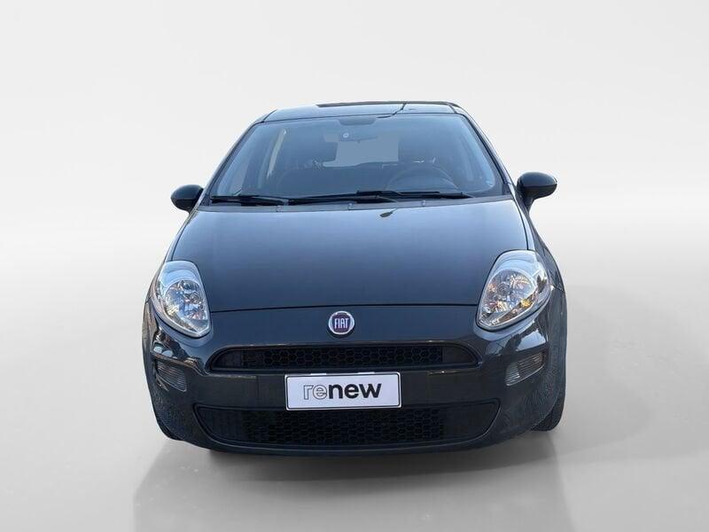 FIAT Punto 1.2 8V 5 porte Street + impianto GPL