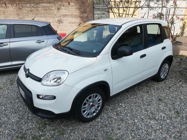 Fiat Panda 1.0 FireFly S&S Hybrid - 2023