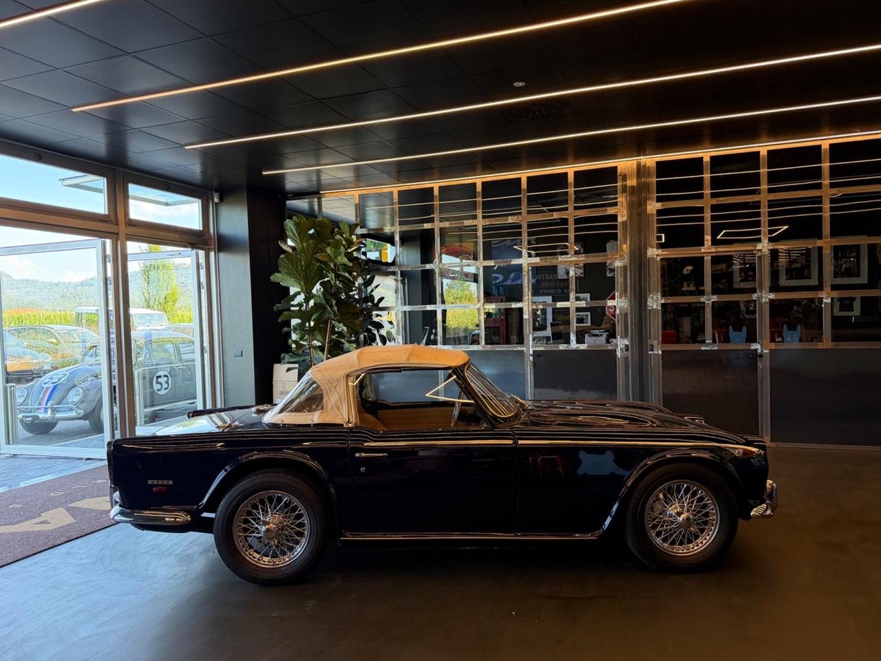 Triumph TR5 1CP -Europen Version– Original LHD