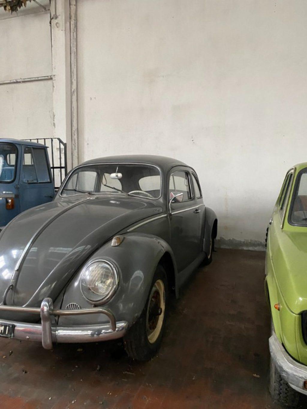 VOLKSWAGEN Maggiolone MAGGIOLONE