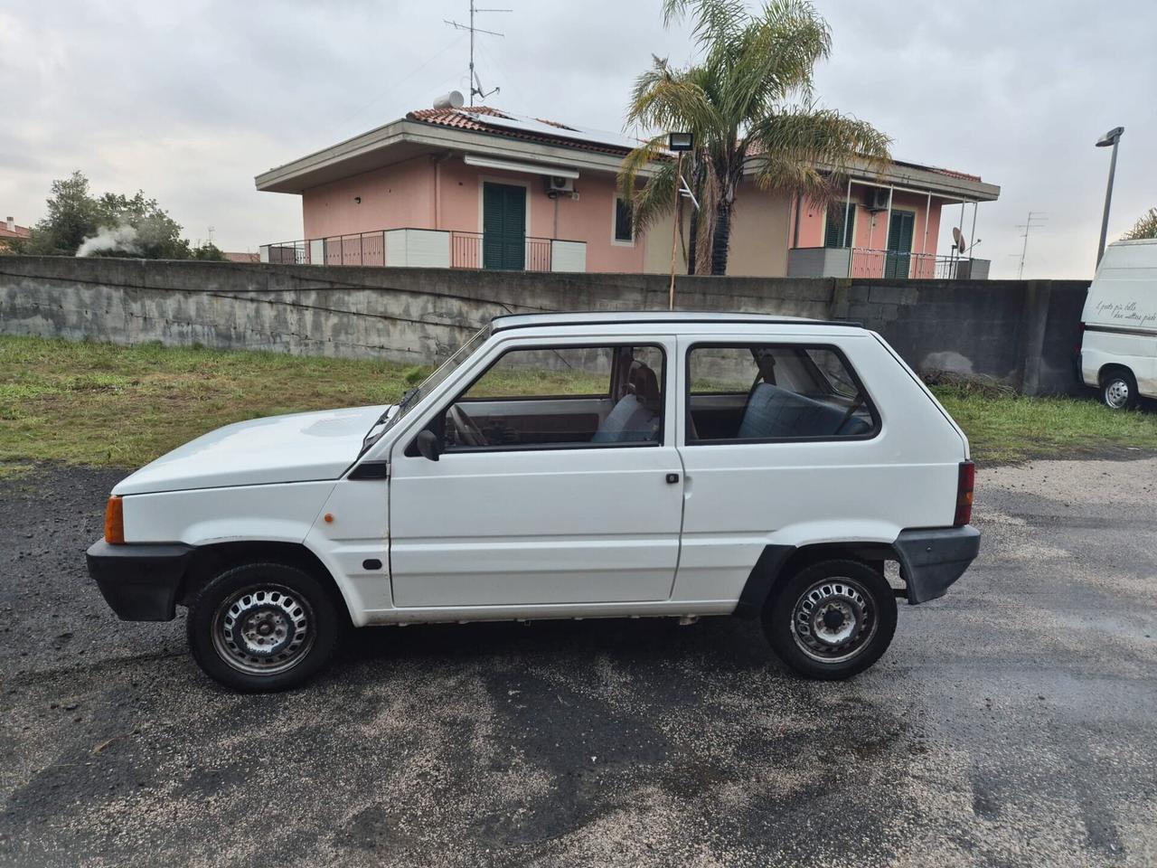 Fiat Panda 1100 i.e. cat Young