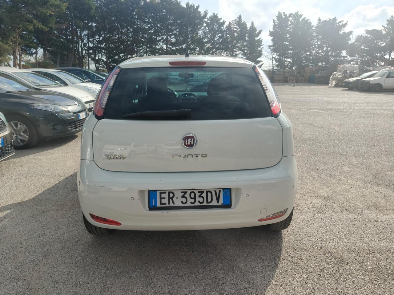Fiat Punto 1.4 8V 5 porte Natural Power Street