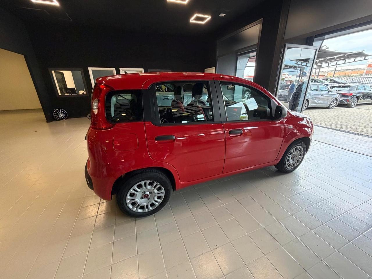 FIAT Panda 3ª serie Panda 1.2 Easy