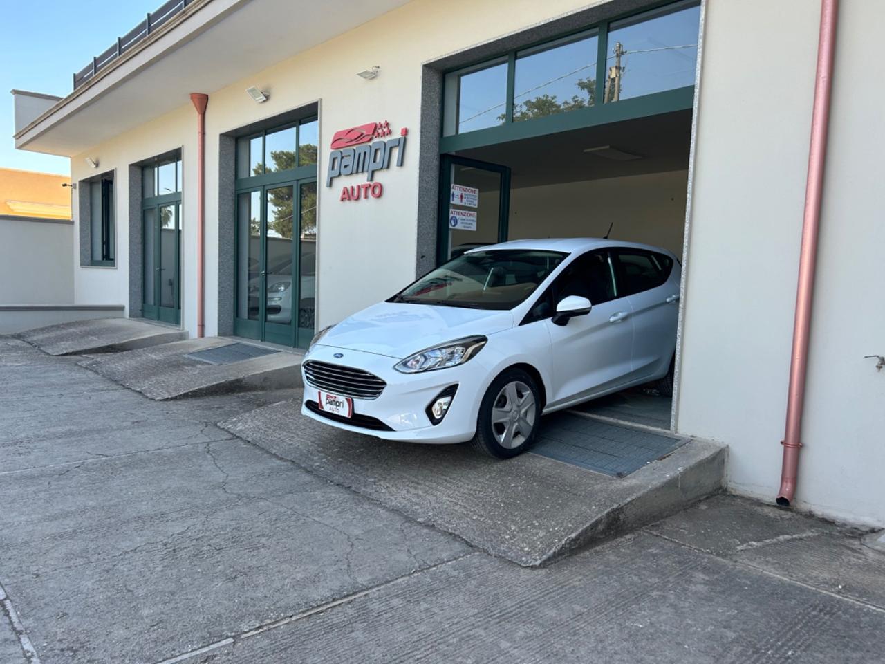 Ford Fiesta 1.5 EcoBlue 5 porte Titanium