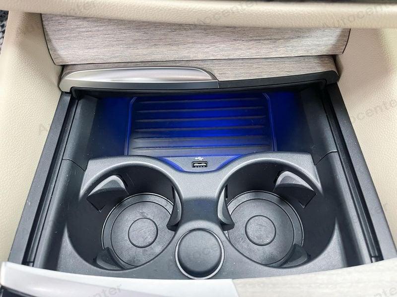 BMW Serie 5 520d Luxury