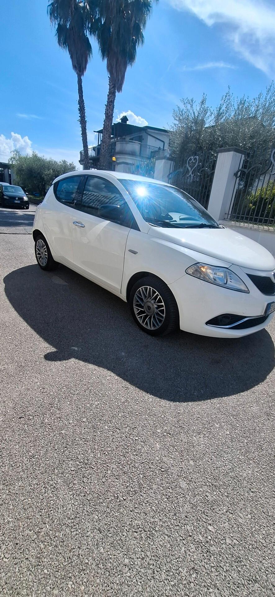 Lancia Ypsilon 1.3 MJT 16V 95 CV 5 porte S&S Platinum