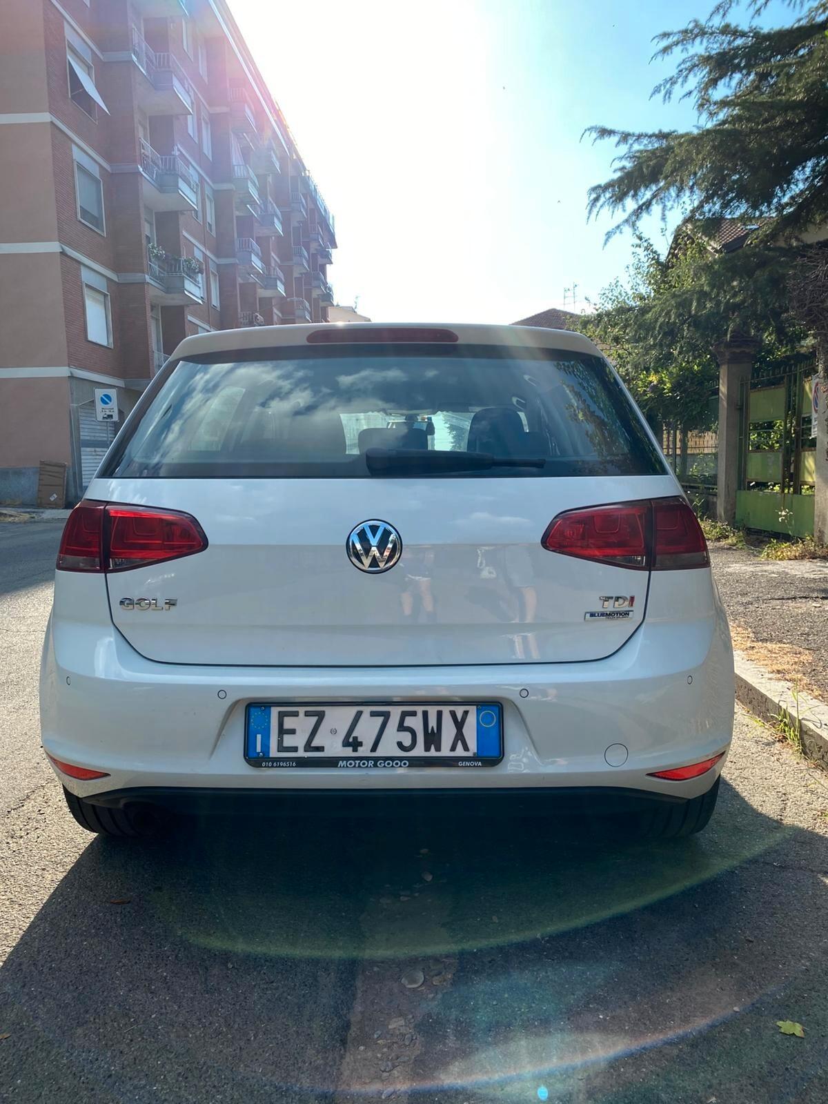 Volkswagen Golf Business 1.6 TDI 5p. Highline BlueMotion Technology