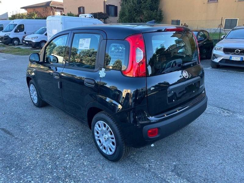 FIAT Panda Panda 1.0 FireFly S&S Hybrid Icon