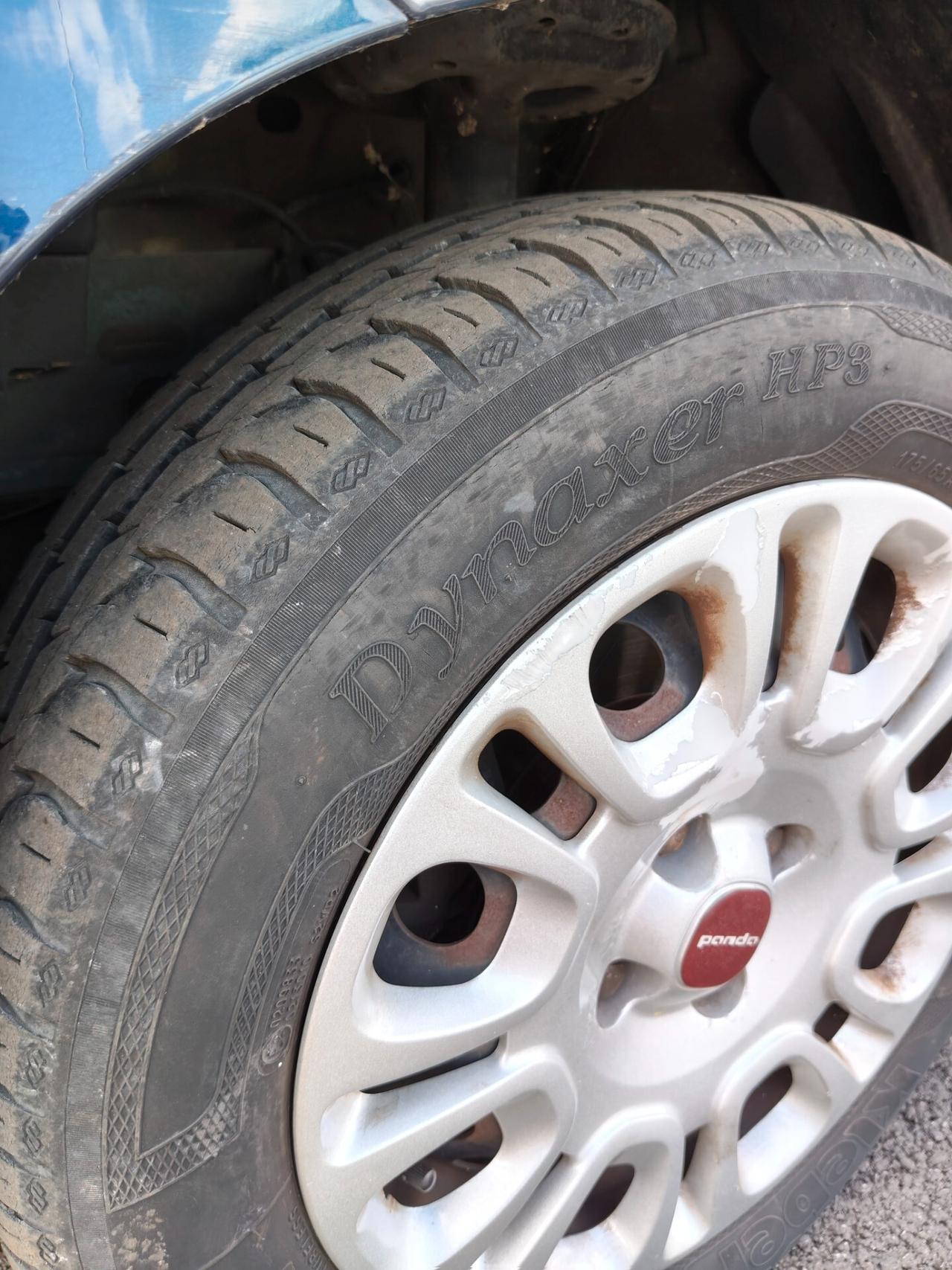 Fiat Panda 1.2 Benzina Lounge