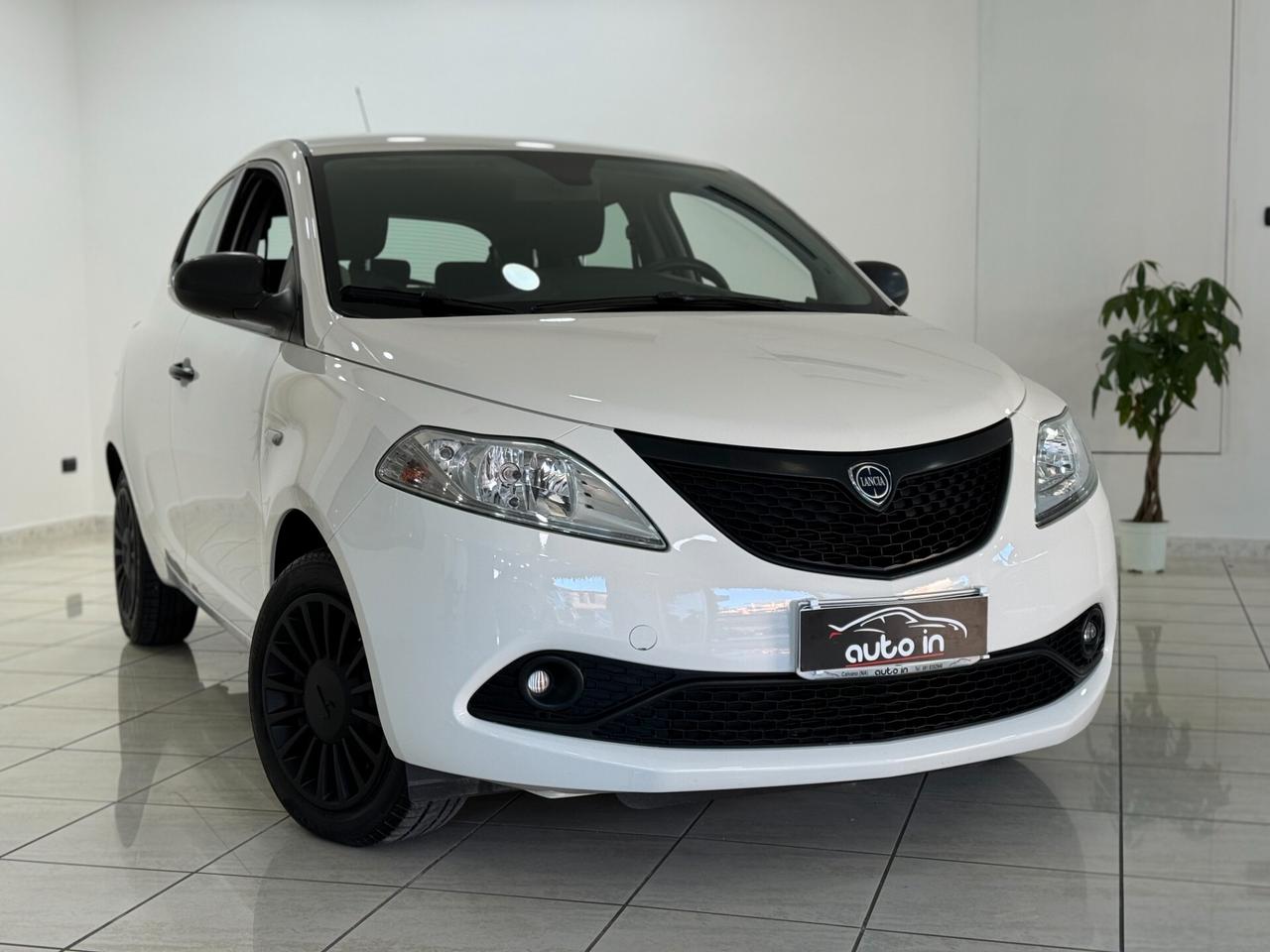 Lancia Ypsilon 1.2 69 CV 5 porte Elefantino Blu