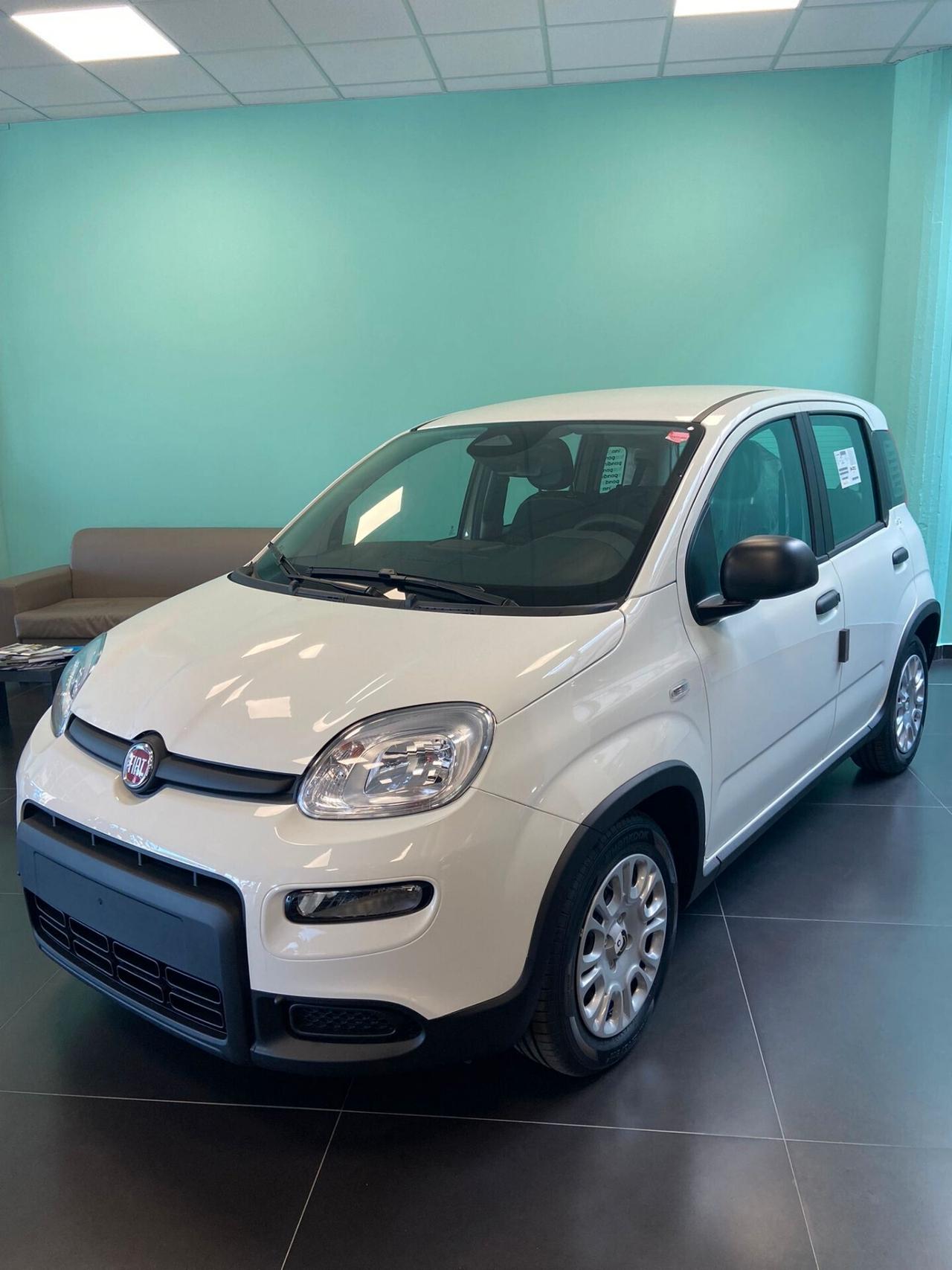 Fiat Panda 2024 PANDINA KM 0 NUOVA FULL