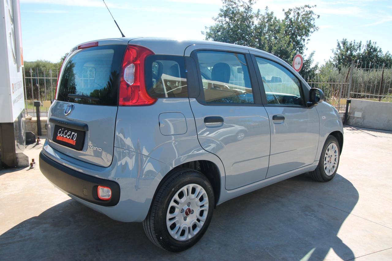 Fiat Panda 1.0 FireFly S&S Hybrid |21.920km|2022