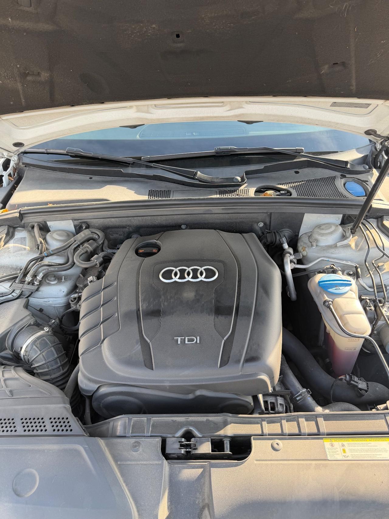 Audi A4 Avant 2.0 TDI 120 CV Business Plus