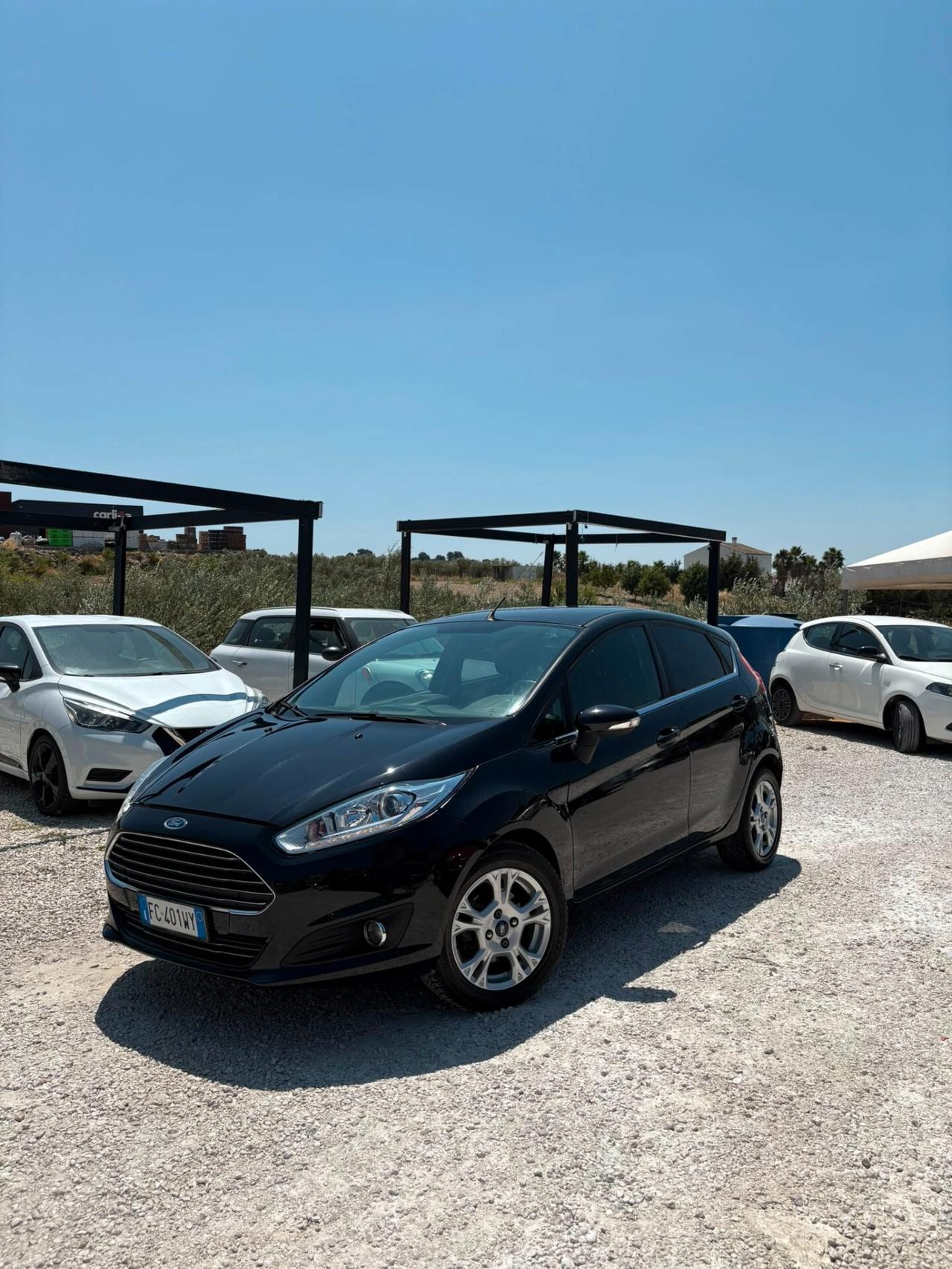 Ford Fiesta 1.5 TDCi 75CV 5 porte Black & White Edition