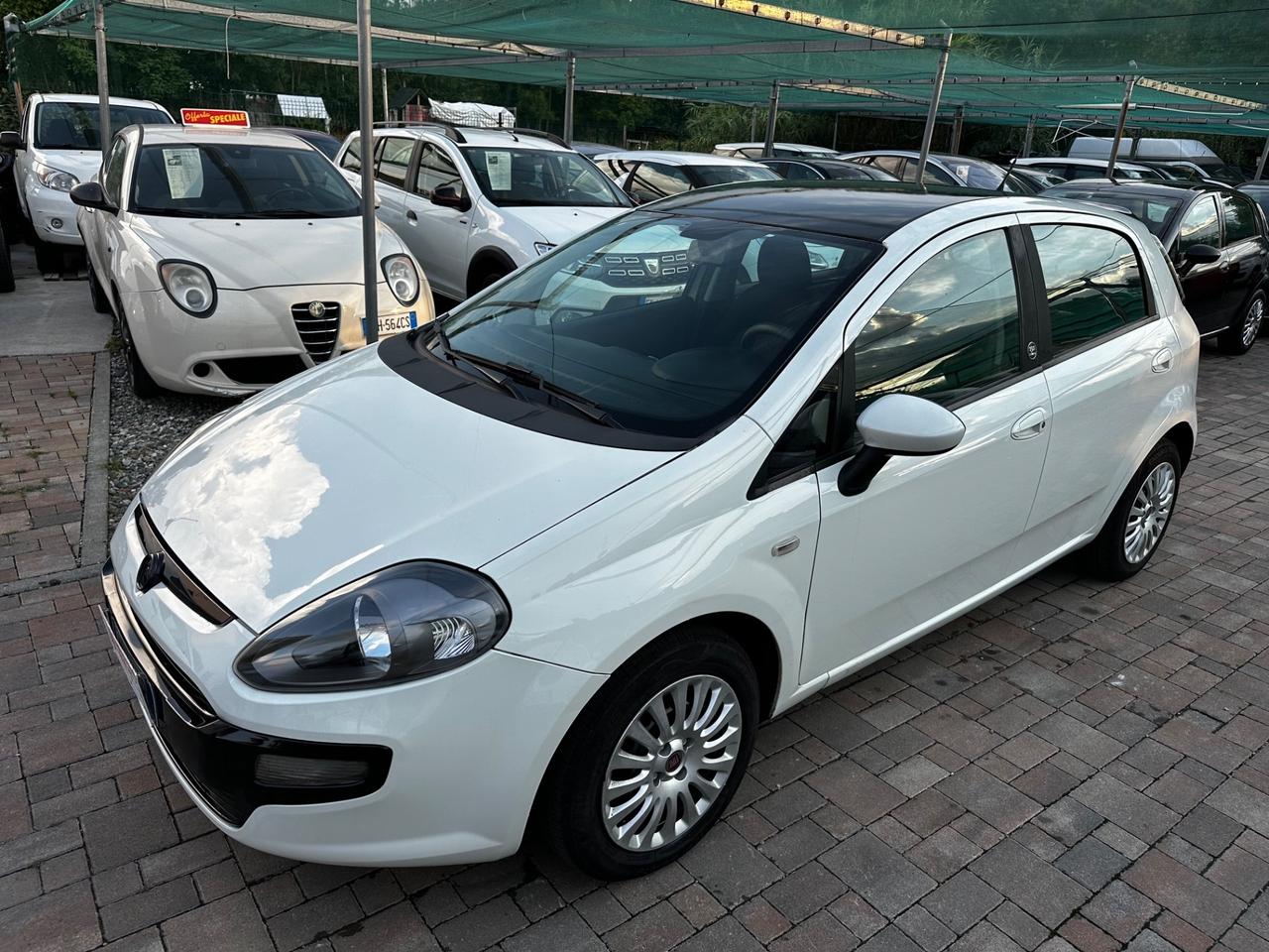 Fiat Punto Evo 1.3 Mjt 75 CV 5 porte S&S Dynamic