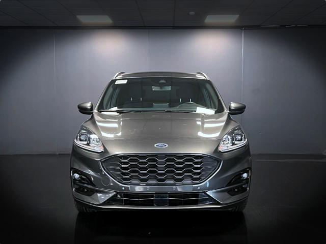 FORD Kuga 2.0 EcoBlue 120 CV aut. 2WD ST-Line