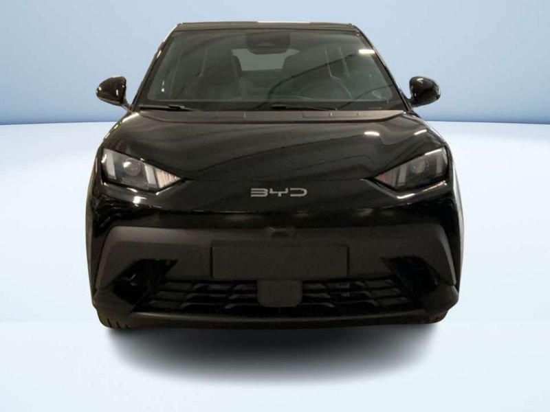 BYD Dolphin Surf Boost