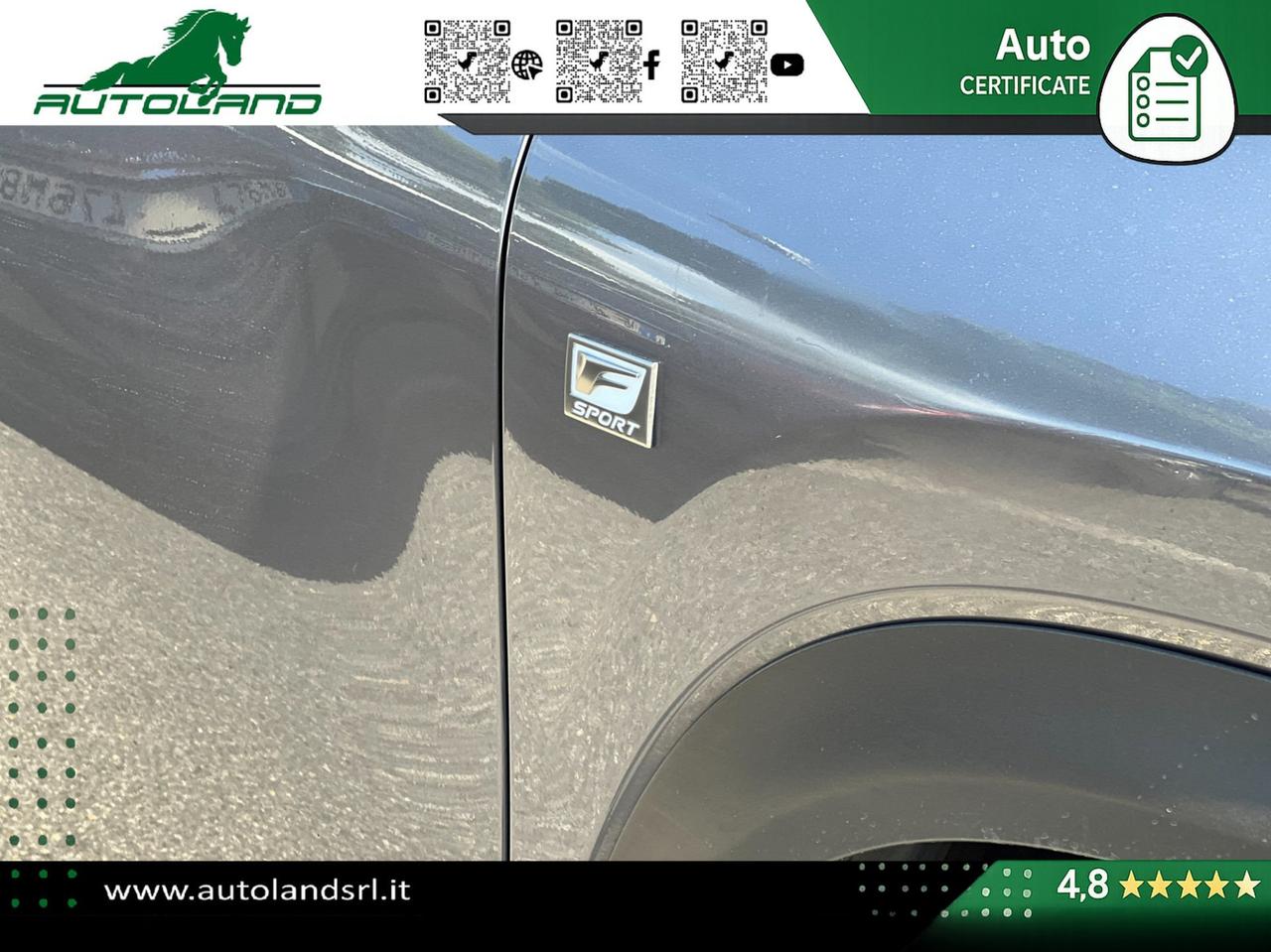Lexus NX 300h 2.5 F-Sport 4wd