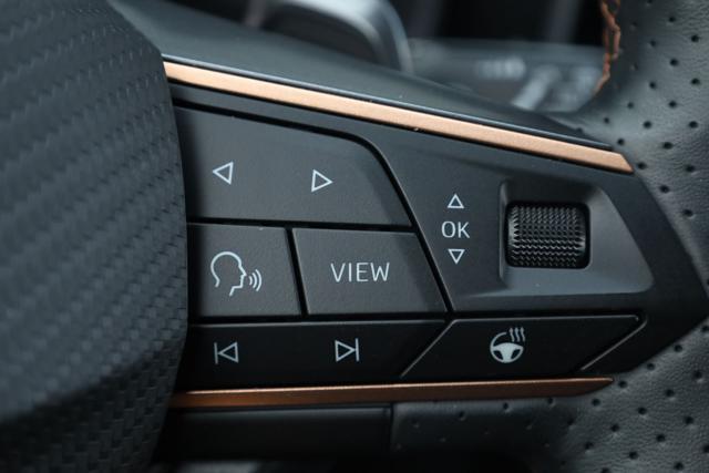 CUPRA Leon 2.0 TDI 150 CV DSG