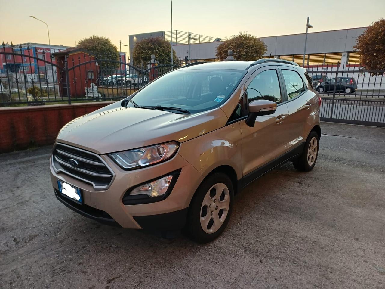 Ford EcoSport 1.5 Ecoblue 100 CV S&S Business