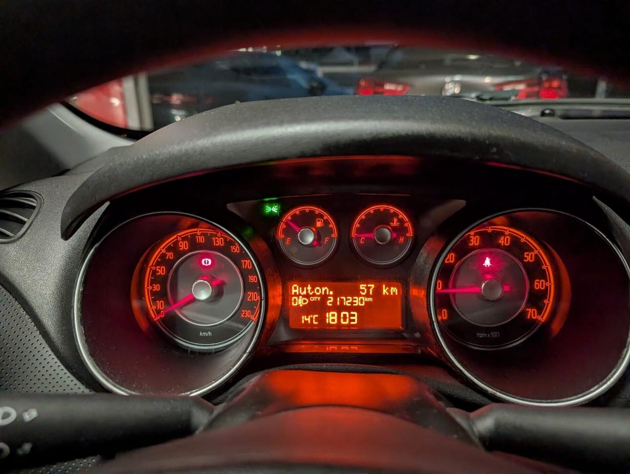 Fiat Punto Evo 1.3 DIESEL 75 CV 5 porte S&S Dynamic