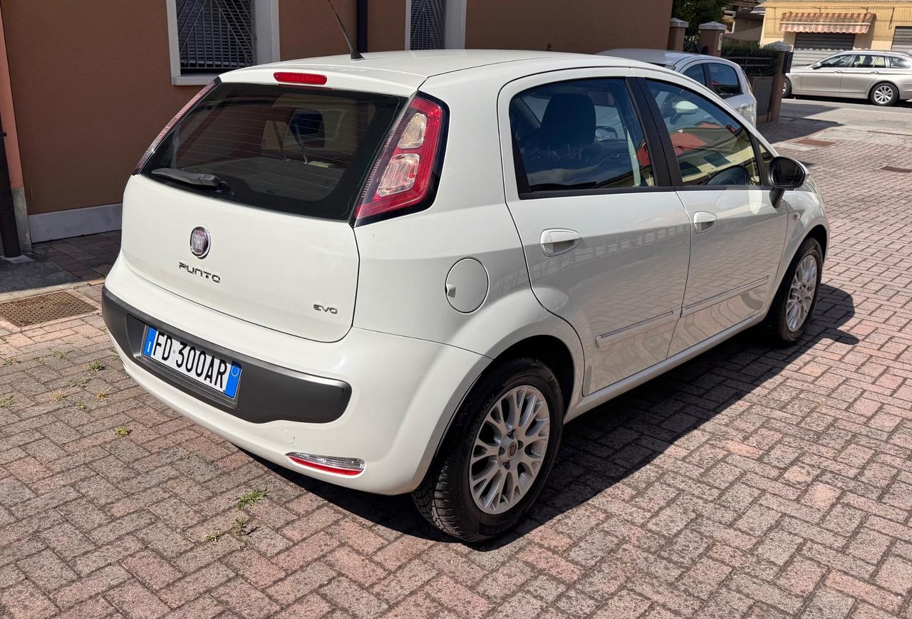 Fiat Punto Evo 1.3 Multijet Ok Neopatentati