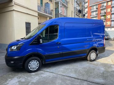 Ford Transit 290 2.0TDCi EcoBlue PM-TM Furgone Trend