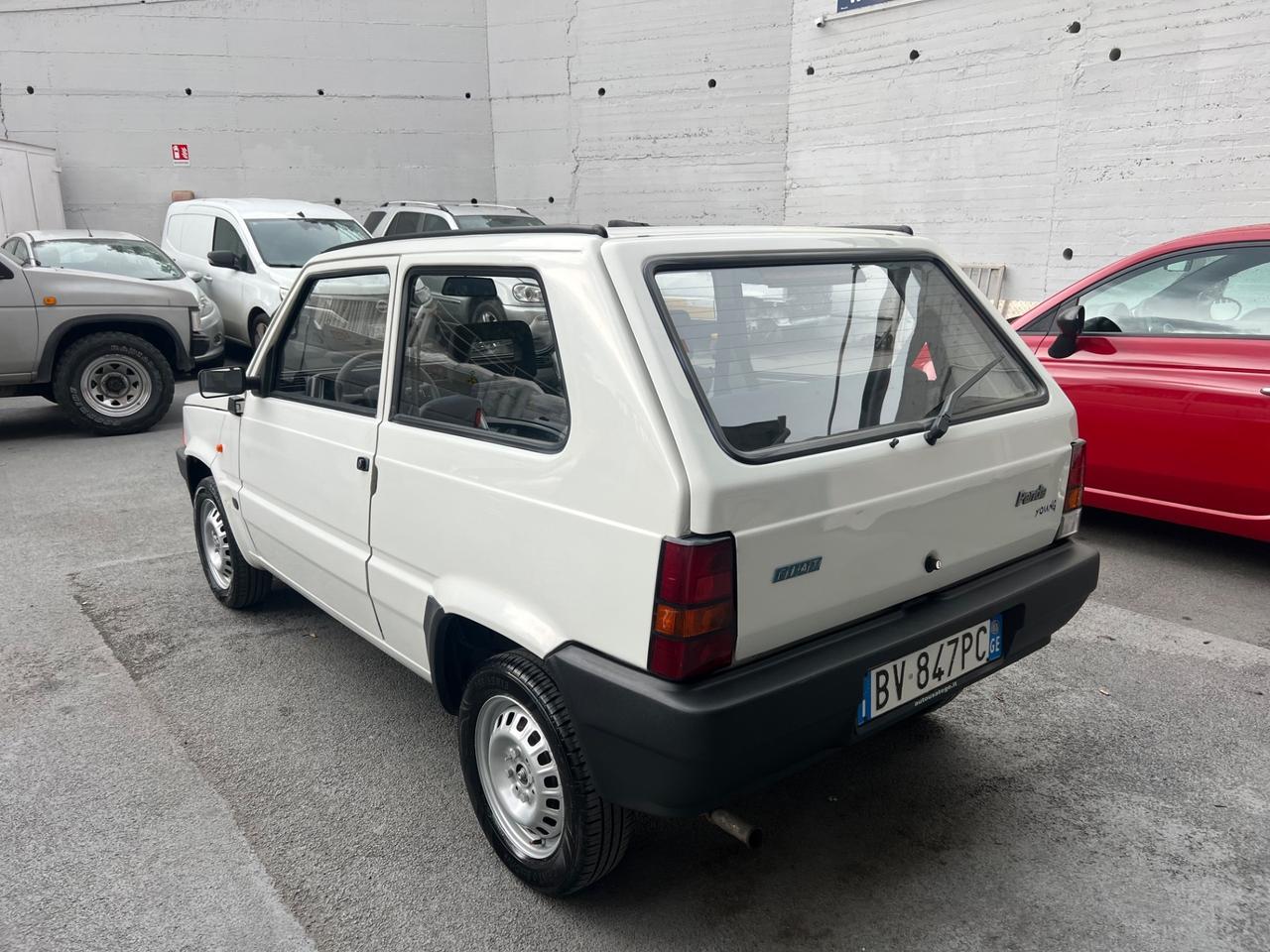 Fiat Panda 1100 i.e. cat Young
