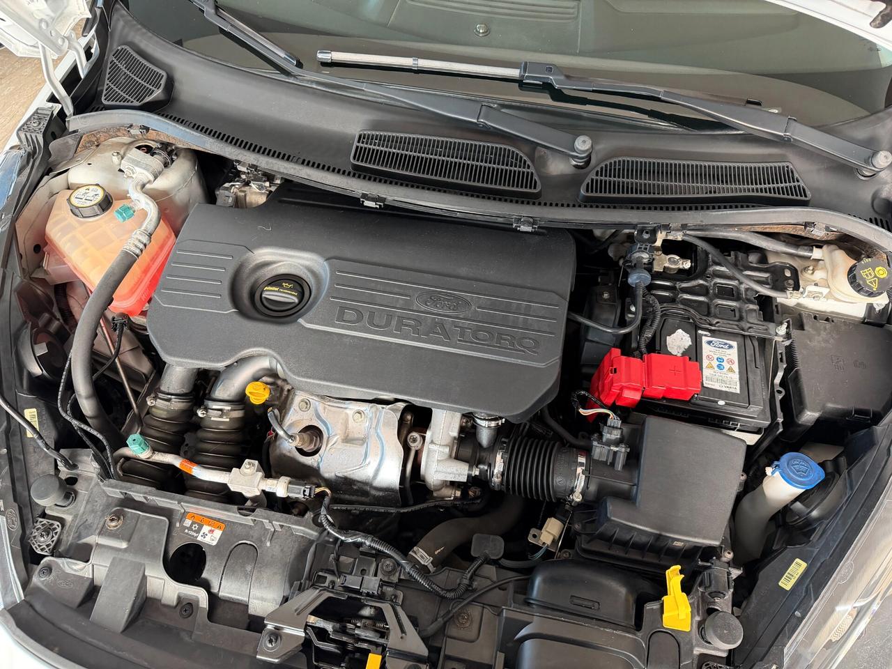 Ford Fiesta 1.5 TDCI 95 cv. 5 porte PLUS (Autocarro 4 posti N1)