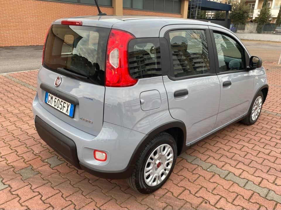 FIAT PANDA 1.0ccHYBRID PARI AL NUOVO