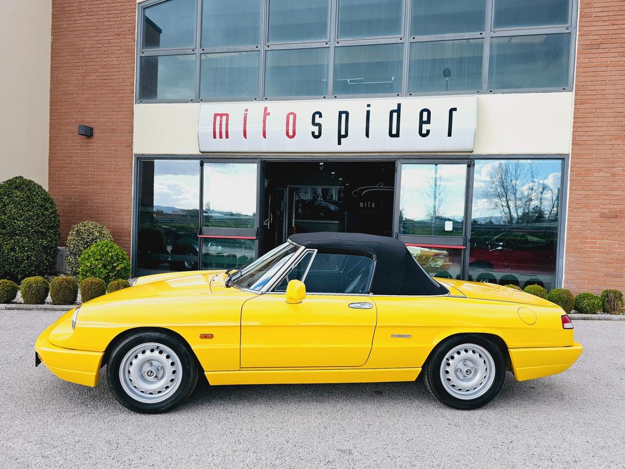 Alfa Romeo Spider 1.6 Asi con Crs Fatture Lavori