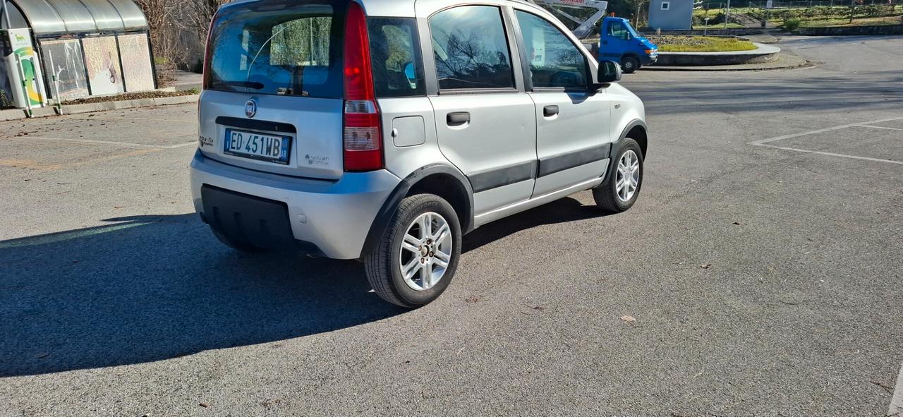 Fiat Panda 1.4 Climbing Natural Power