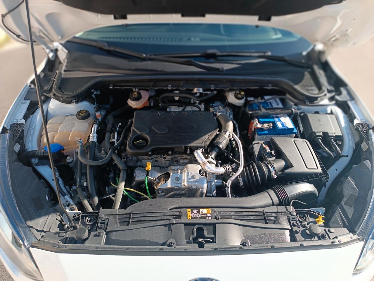 Ford Focus 1.5 EcoBlue 120 CV automatico SW Business Co-Pilot"accetto permuta"