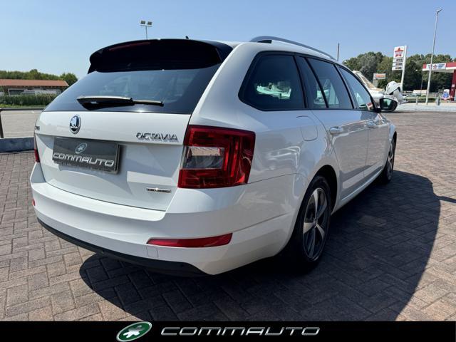 SKODA Octavia 1.6 TDI 110 CV Wagon GreenLine