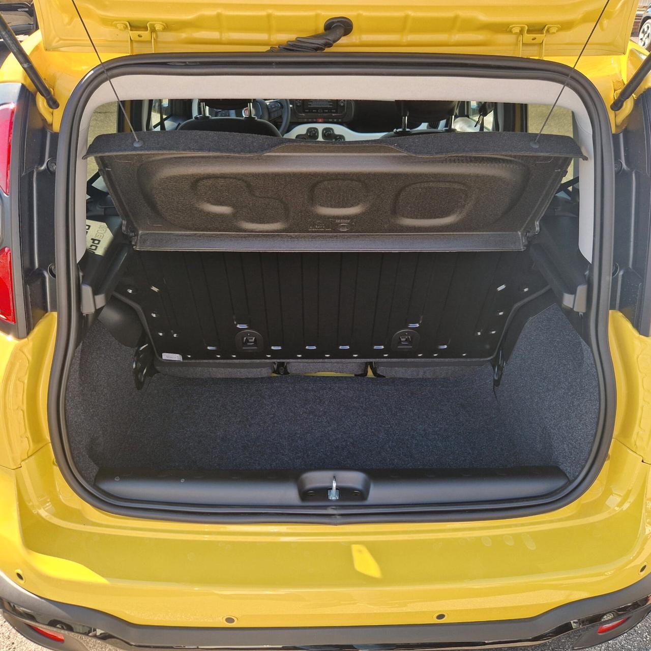 Fiat Panda 1.0 FireFly S&S Hybrid Pandina
