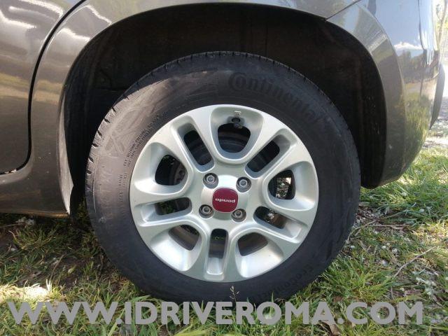 FIAT Panda 1.2 LOUNGE plus + GPL "DIVERSI COLORI IN SEDE"