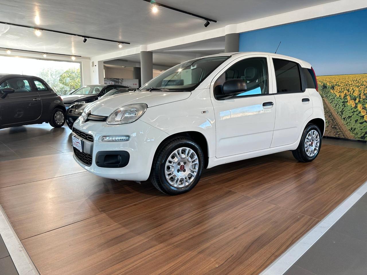 Fiat Panda 1.2 EasyPower Easy