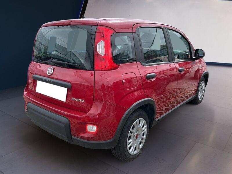 FIAT Panda My24 1.0 70cv Hybrid Panda