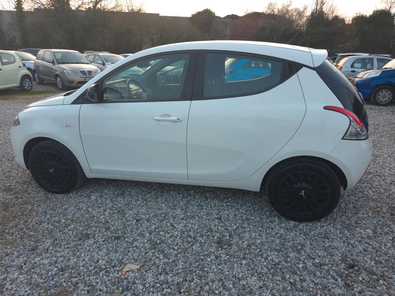 Lancia Ypsilon 1.3 MJT 16V 95 CV 5 porte S&S Platinum