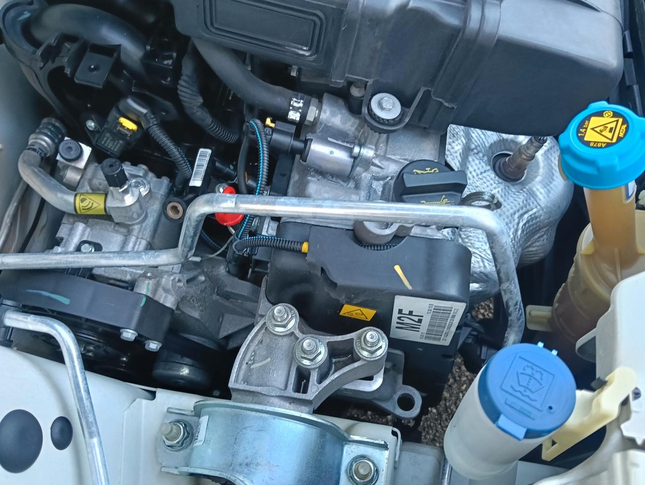 Lancia Ypsilon 1.2 69 CV 5 porte Gold