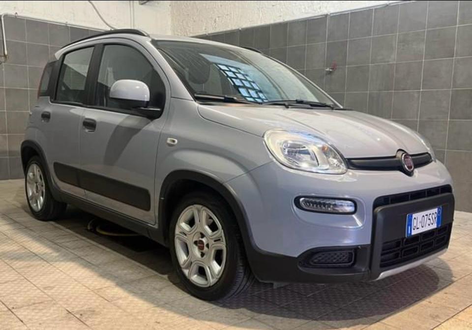 Fiat Panda 1.0 FireFly S&S Hybrid