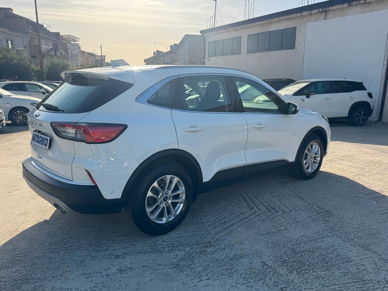Ford Kuga 1.5 EcoBlue 120 CV 2WD Titanium