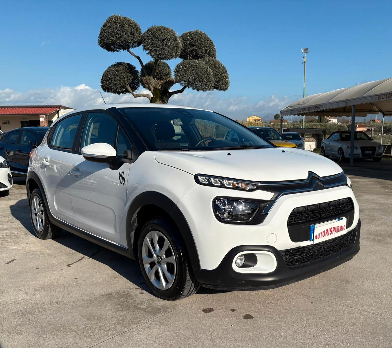 Citroen C3 1.5 BlueHDi 100Cv 6m S&S You