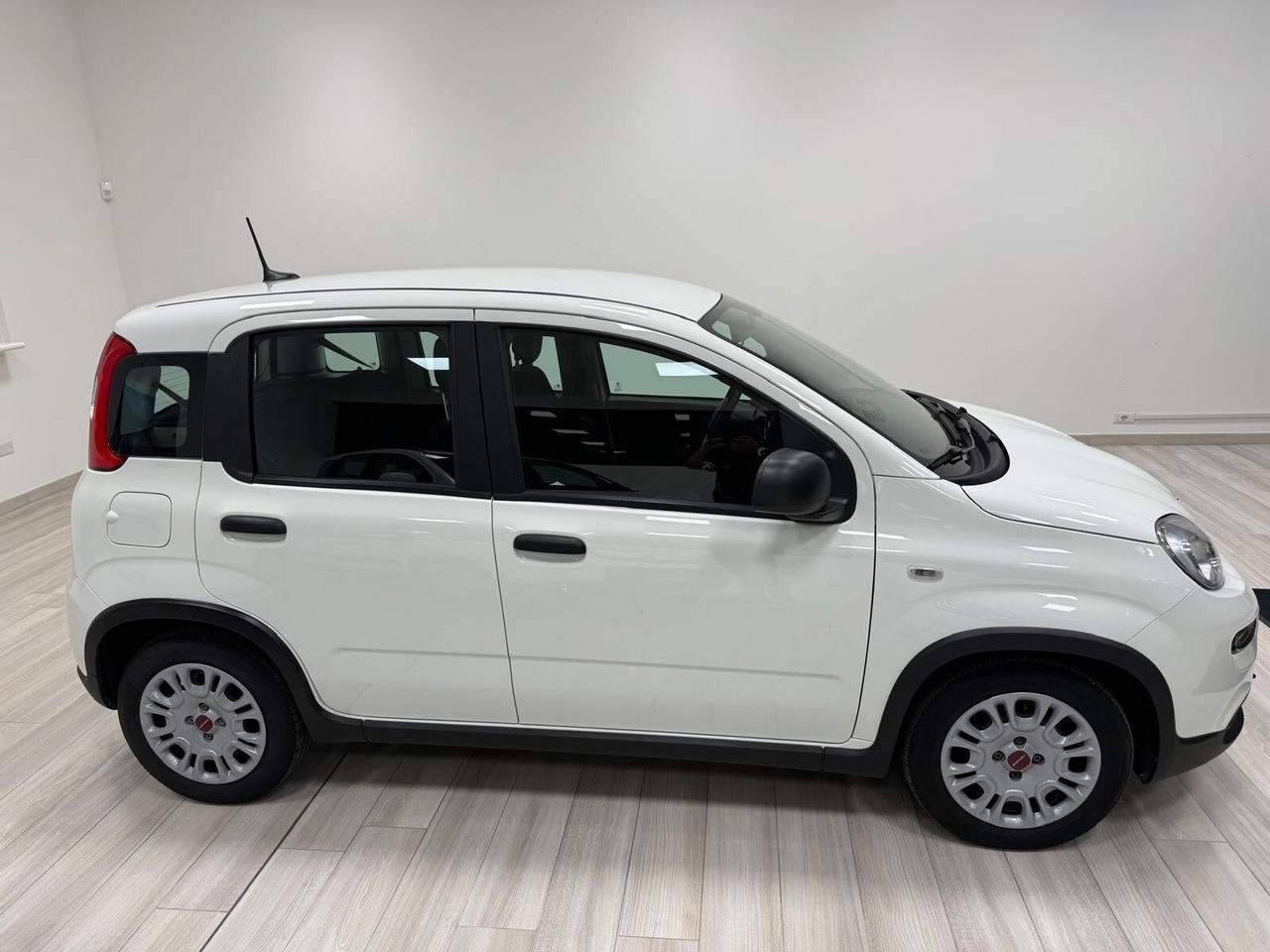Fiat Panda FyreFly Hybrid S&S