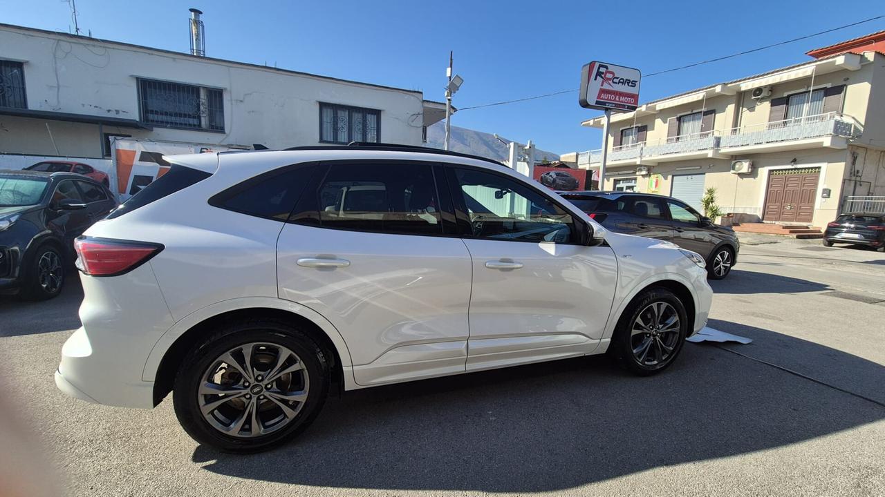 Ford Kuga 1.5 EcoBlue 120 CV aut. 2WD ST-Line X