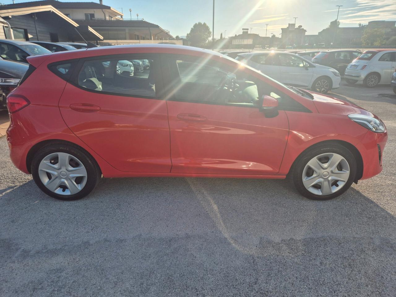 Ford Fiesta 1.1 75 CV GPL 5 porte Business BIFUEL